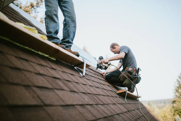 Gutter Installation and Roofing in Brightwood, VA